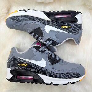 RARE Nike Air Max 90 Nike Air Max 90 "Zebra" Cool Grey